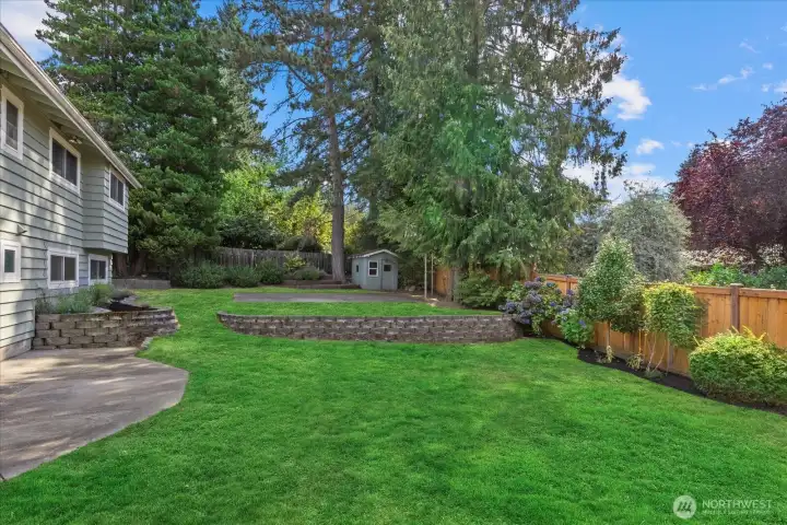huge backyard