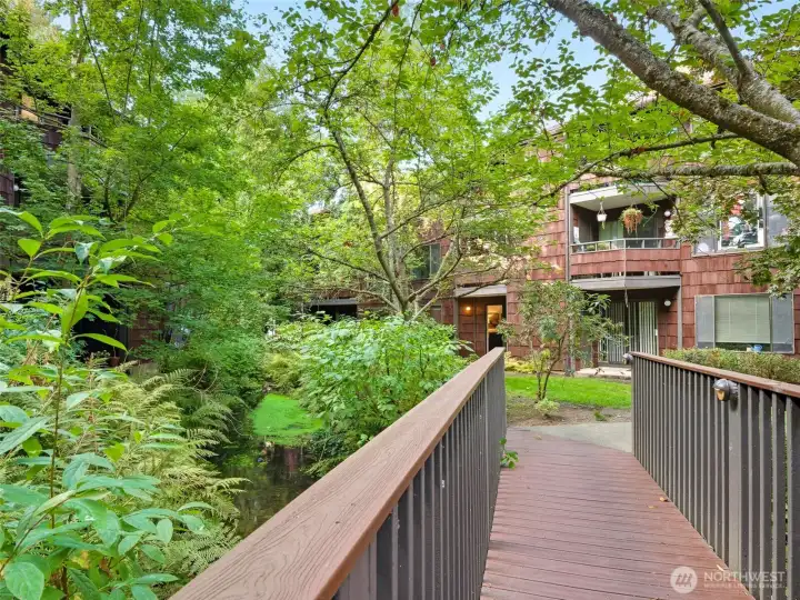 Walking bridge over creek