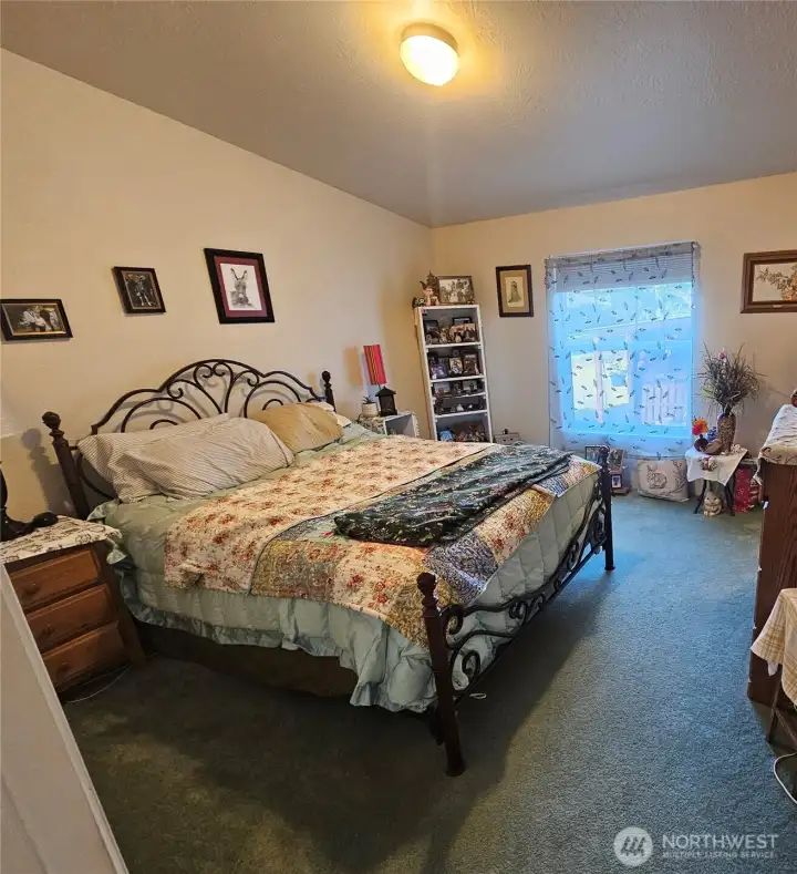 The 2nd bedroom has plenty of space and a walk-in closet.