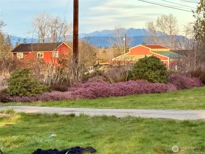 Peek a boo view of the Cascades