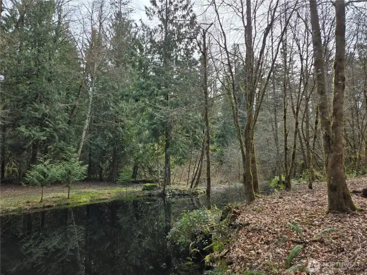 pond on site in the middle of the property shared with neighbor to the North