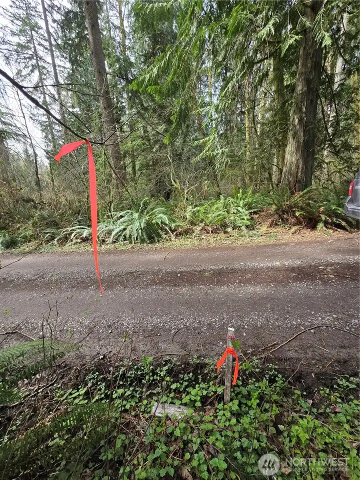 Southeast property corner and line at the road.