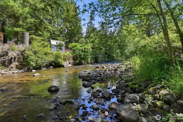 Big Creek in Back Yard Big Creek in Back Yard