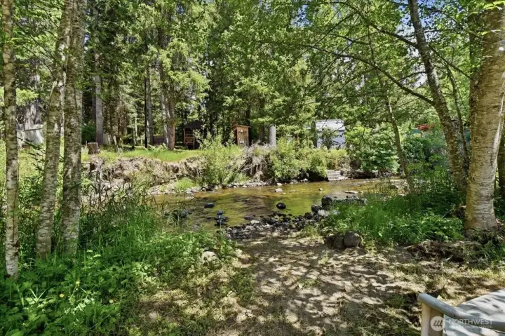 Big Creek in Back Yard Big Creek in Back Yard