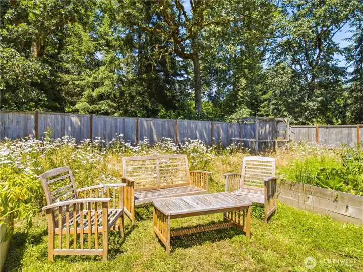 Welcome to the wildflower meadow on the far portion of the backyard.