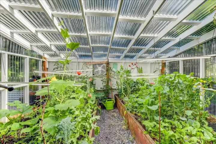 Greenhouse Interior