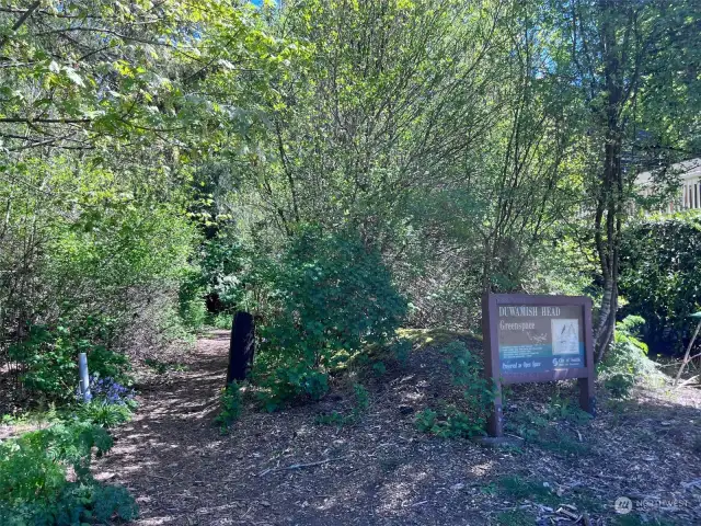 Walk the trails up to the property from the Duwamish Greenspace trail head at 51st Ave SW and SW College Street.