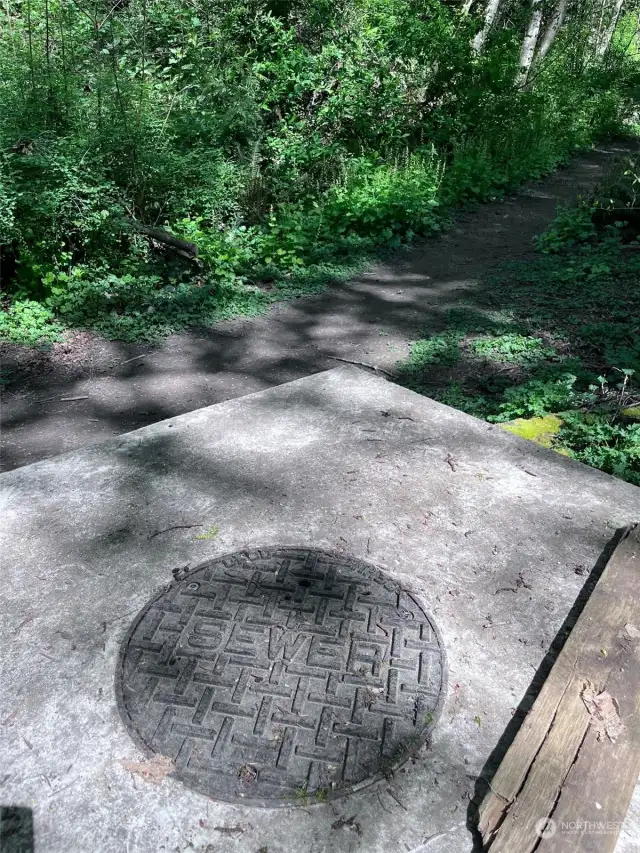 Sewer at bottom of property in College Street Ravine.