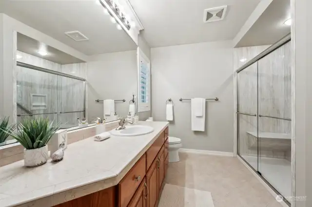 This large, lower level bathroom offers some lovely updates and a delightful renovated shower.
