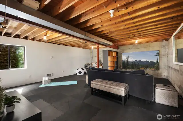 Lower level bonus room.  Use as gym/TV room