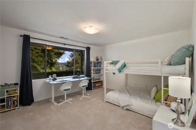 Lower level bedroom #3