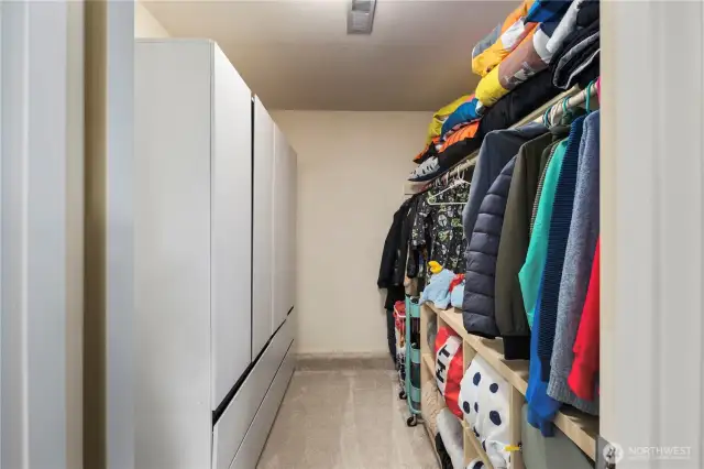 Lower level bedroom closet