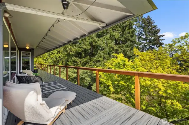 Deck views!