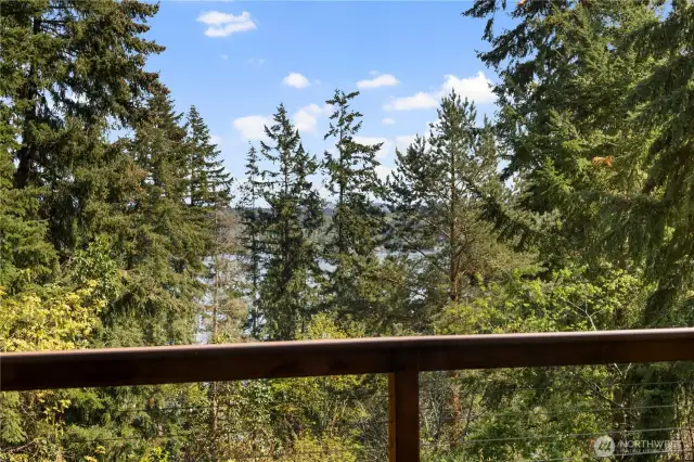 View from the deck