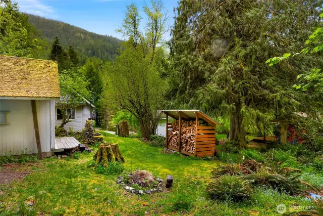 Mature landscape