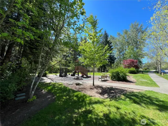 Snoqualmie Ridge has so many parks - this one is right around the corner from subject