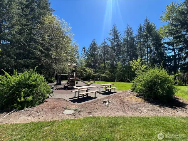 Excellent location for picnic and hang out