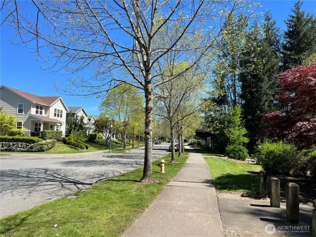 Wide streets, sidewalks, street lights and groomed landscaping
