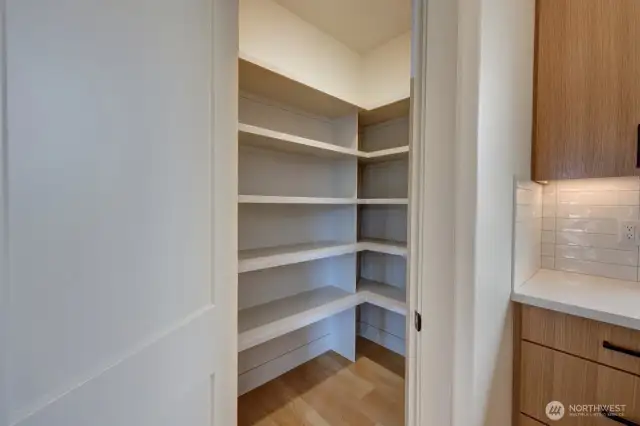 Walk-in Kitchen Pantry