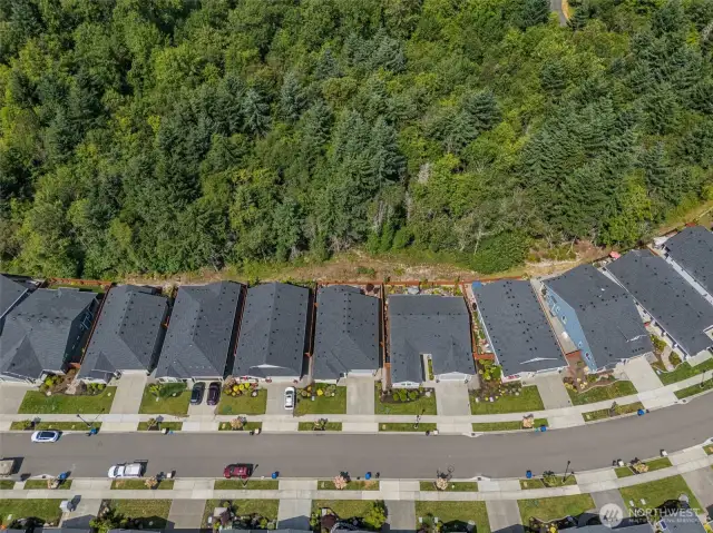 Large Buffer Greenbelt Provides Sought After Backyard Privacy! No Neighbors Behind!