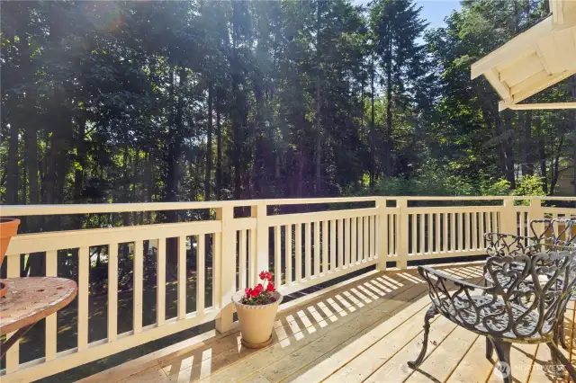 Expansive balcony off the primary suite bathed in morning sun.