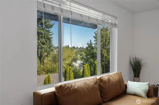Mt. Rainier out the Living Room window!