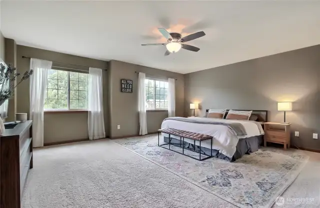 Upstairs primary bedroom, generous in size, large windows, just an oasis.
