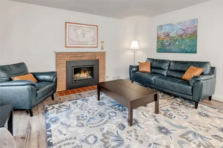 Welcome to your new living room with gas burning fireplace