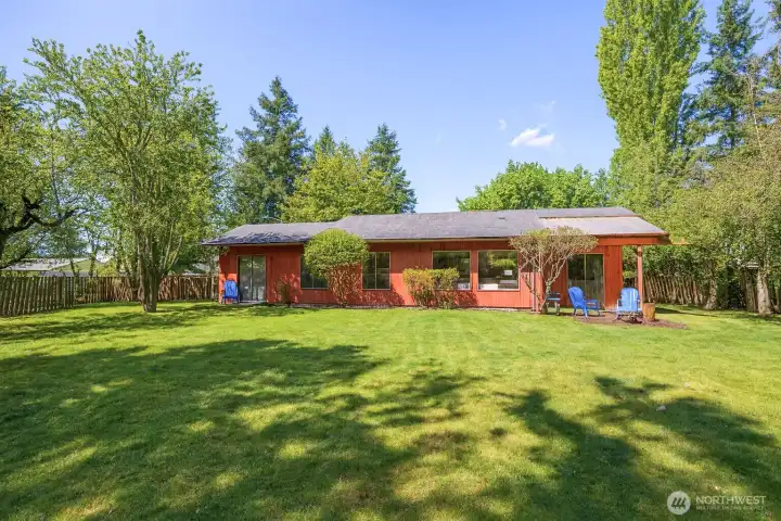 View from the back of the south-facing backyard.