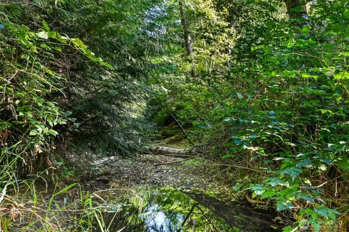 Beautiful creek just steps away