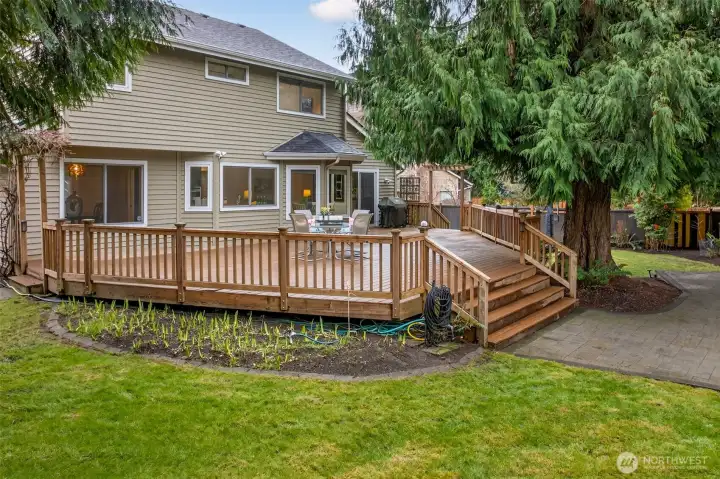 Expansive deck and paver patio create a seamless outdoor living zone with easy flow to the lawn, framed by mature evergreens for a private, peaceful backdrop.