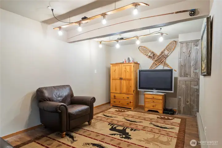 Family Room Lower Level