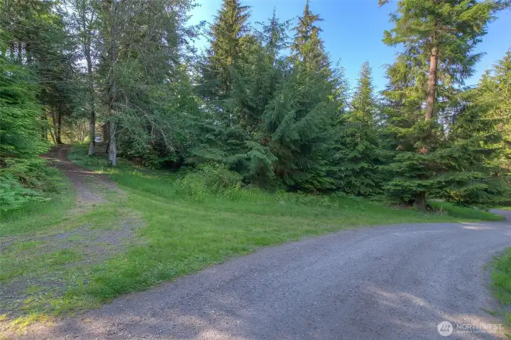 Established driveway off of Raven Lane.
