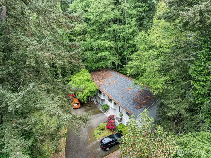 Private large 12000sqft lot.