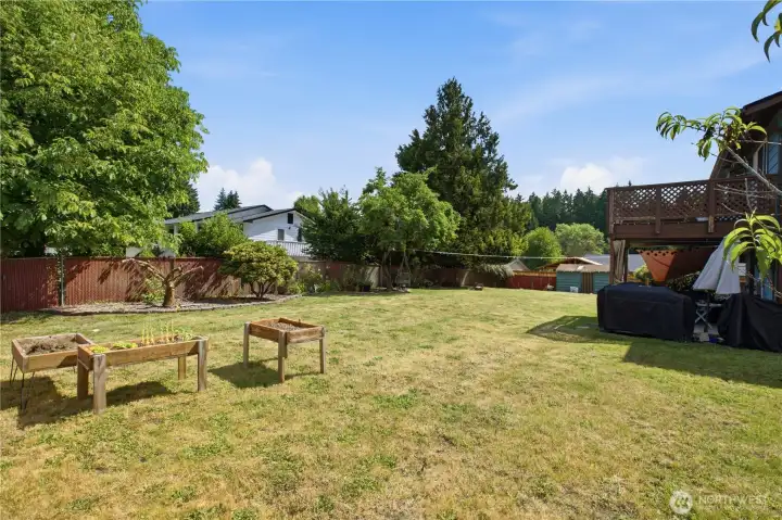 Backyard Backyard