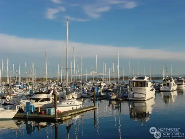 Semiahmoo marina