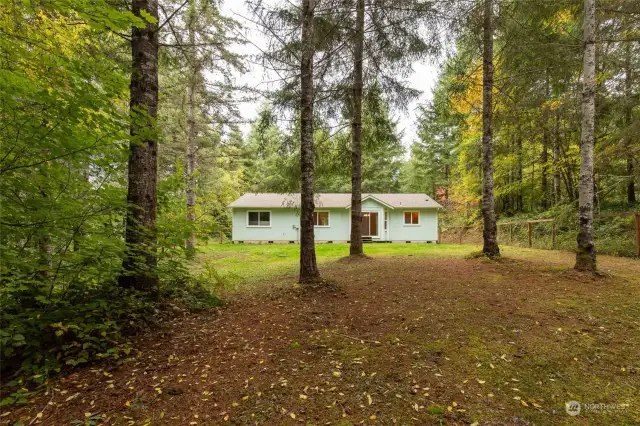 backyard and rear of home