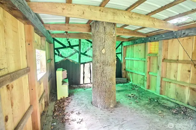 From inside the tree house
