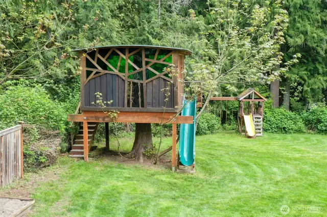 Tree House and play structure