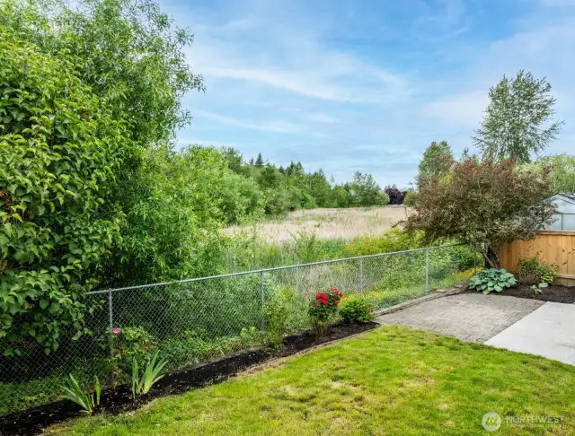 Wetlands in Backyard