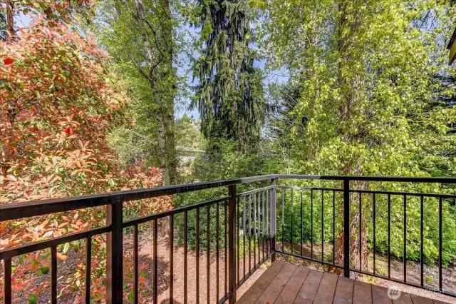 Deck View