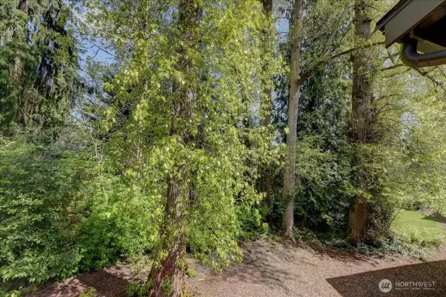 Deck View