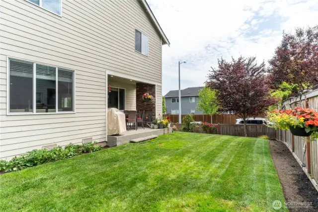 Back yard area