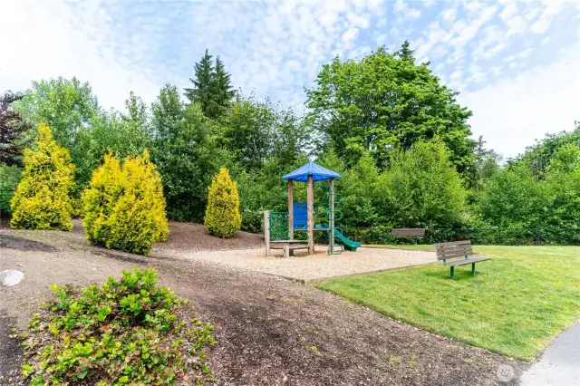 Park Area