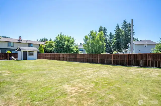 Back yard