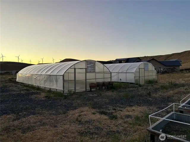 Two 25'X50" greenhouses.