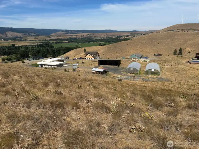 View from the back of the 5.3 acres