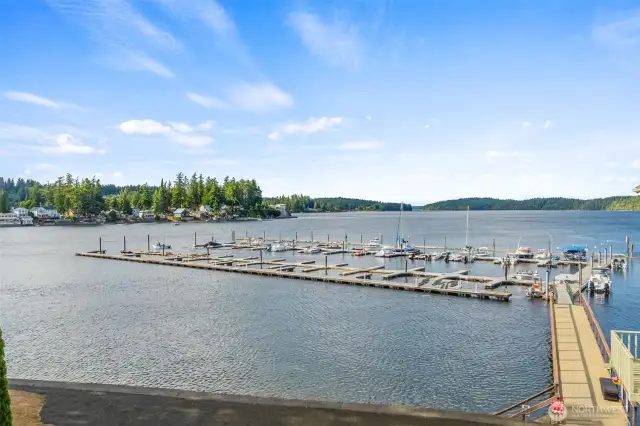Community Park - Marina