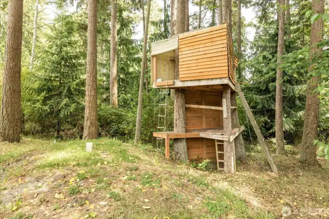 Tree house