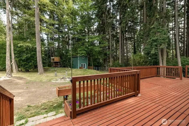 Back Deck / Yard